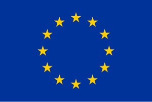 Bandiera a 12 stelle su fondo blu dell'Unione Europea